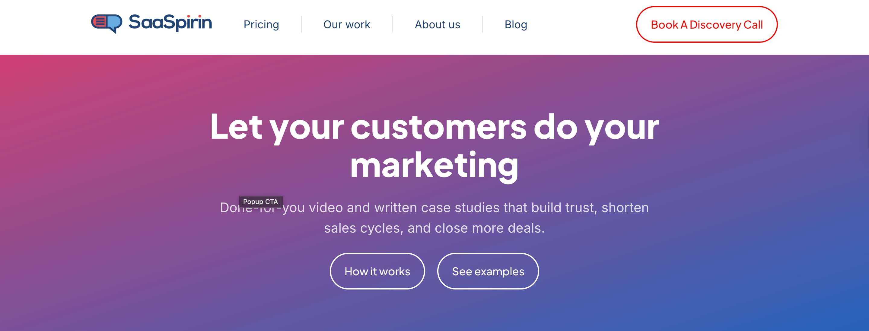 Screenshot of SaaSprin homepage