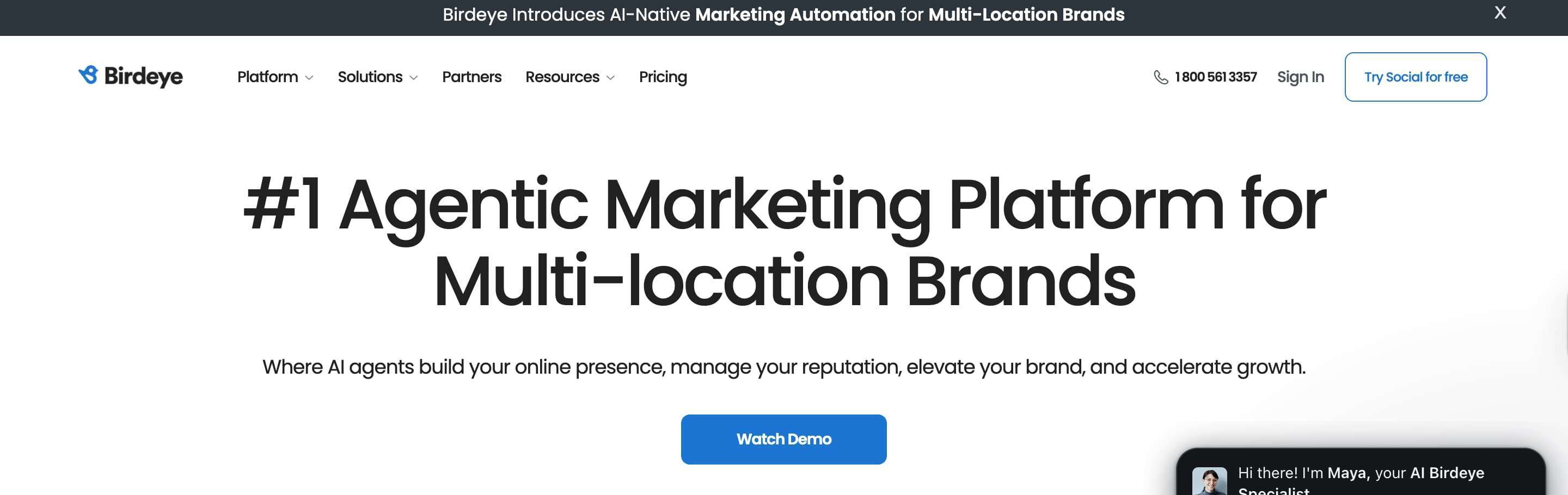 screenshot of birdeye homepage